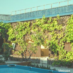 Гостиница Melrose Заозёрное-23